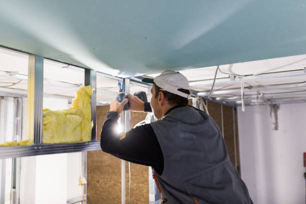 Best Blown-in Insulation in Litchfield Beach, SC